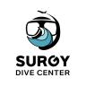 SURGY DIVE